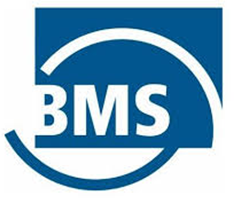 BMS - TBT Tankbau Teknik Referansı